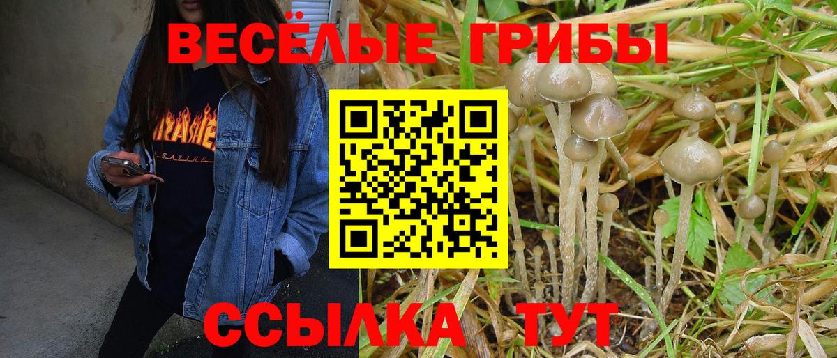 Галлюциногенные грибы ЛСД  Вход с VPN  Псилоцибиновые грибы Psilocybine cubensis  Набережные Челны 