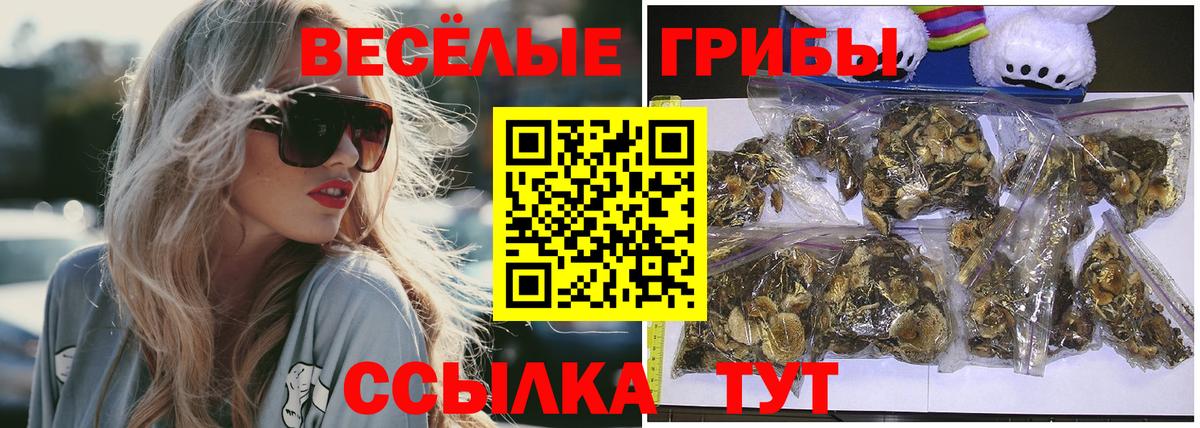 Галлюциногенные грибы мухоморы Набережные Челны